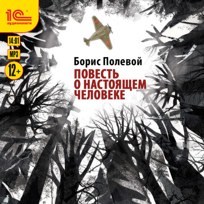Повесть о настоящем человеке - Полевой Борис