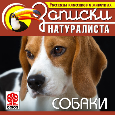 Рассказы классиков о животных. Собаки - Огл Джордж, Виллис Л., Сетон-Томпсон Эрнест, Мамин