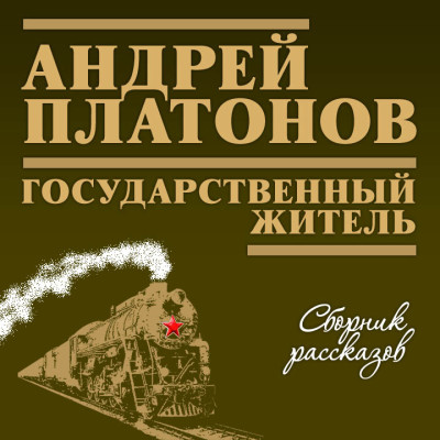 Государственный житель - Платонов Андрей