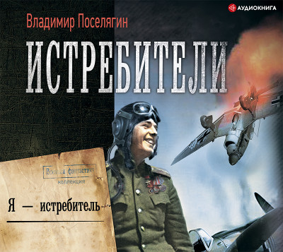 Я – истребитель - Поселягин Владимир