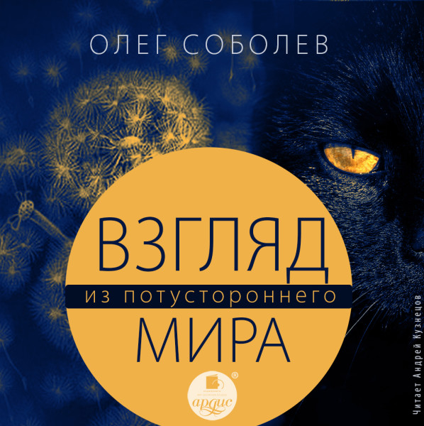Взгляд из потустороннего мира - Соболев Олег В.