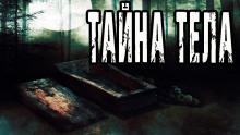 Тайна тела - Евгений Шорстов