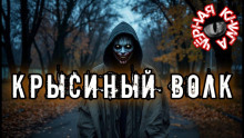 Крысиный волк -                   Rez0nman