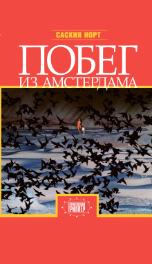 Побег из Амстердама -                   Саския Норт