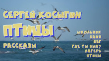 Сборник рассказов -                   Сергей Косыгин