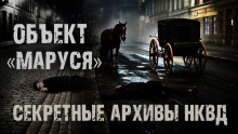 Секретные архивы НКВД. Объект &quot;Маруся&quot; -                   Максим Никитин