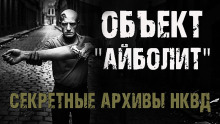 Секретные архивы НКВД. Объект &quot;Айболит&quot; -                   Максим Никитин