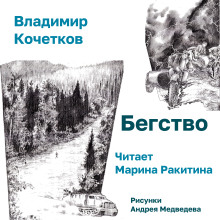 Бегство -                   Владимир Кочетков