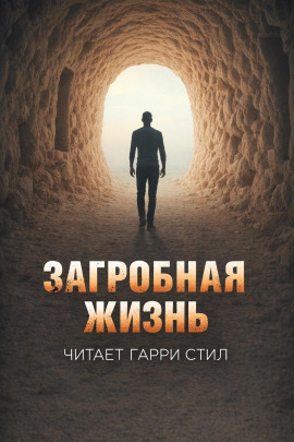 Загробная жизнь - Стивен Кинг