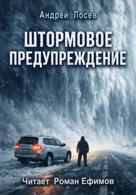Штормовое предупреждение - Андрей Лосев